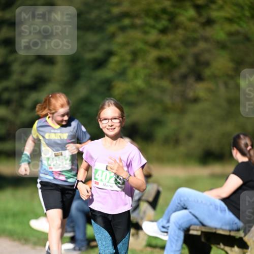 22.09.2024 - 32. Volkslauf durch das schöne Alstertal Dr. Thomas Lammeyer http://msf.ph/oto/7109537 22.09.2024 10:41:56 Laufen 4062, 4025 meine-sportfotos.de