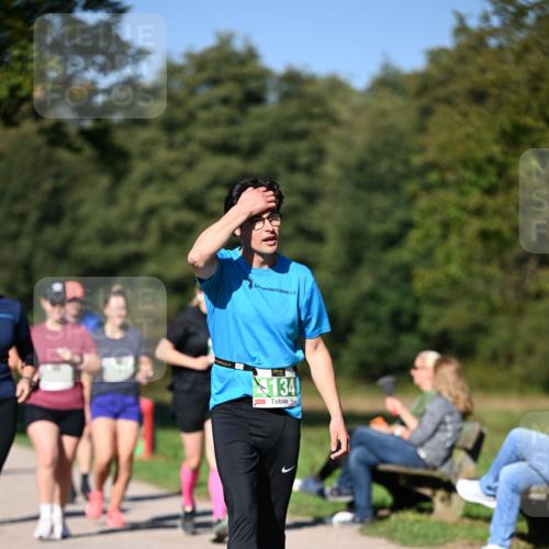 22.09.2024 - 32. Volkslauf durch das schöne Alstertal Dr. Thomas Lammeyer http://msf.ph/oto/7109558 22.09.2024 10:42:01 Laufen 134 meine-sportfotos.de