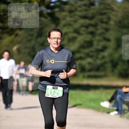 22.09.2024 - 32. Volkslauf durch das schöne Alstertal Dr. Thomas Lammeyer http://msf.ph/oto/7109601 22.09.2024 10:42:11 Laufen 4129 meine-sportfotos.de