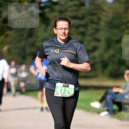 22.09.2024 - 32. Volkslauf durch das schöne Alstertal Dr. Thomas Lammeyer http://msf.ph/oto/7109605 22.09.2024 10:42:11 Laufen 4129 meine-sportfotos.de