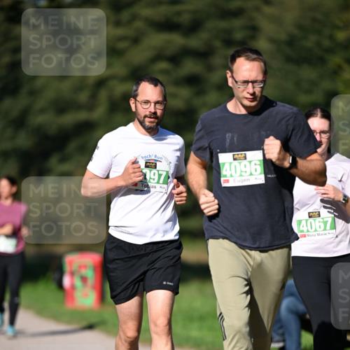 22.09.2024 - 32. Volkslauf durch das schöne Alstertal Dr. Thomas Lammeyer http://msf.ph/oto/7109630 22.09.2024 10:42:23 Laufen 397, 4096, 4067 meine-sportfotos.de