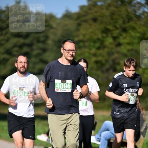 22.09.2024 - 32. Volkslauf durch das schöne Alstertal Dr. Thomas Lammeyer http://msf.ph/oto/7109631 22.09.2024 10:42:24 Laufen 4097, 4096, 3, 068 meine-sportfotos.de