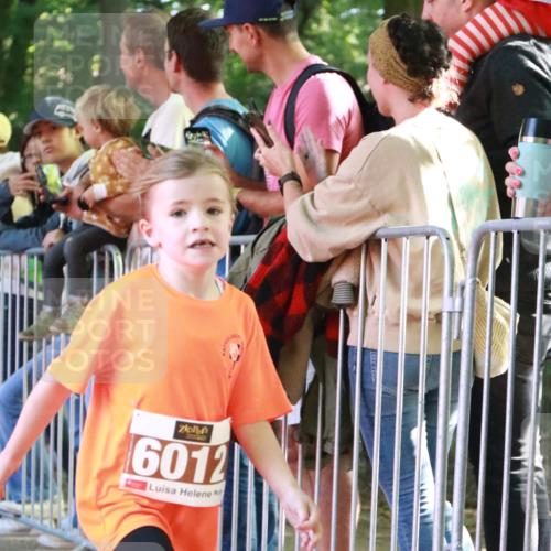 22.09.2024 - 32. Volkslauf durch das schöne Alstertal H.Heesch http://msf.ph/oto/7109823 22.09.2024 10:43:06 Ziel  meine-sportfotos.de