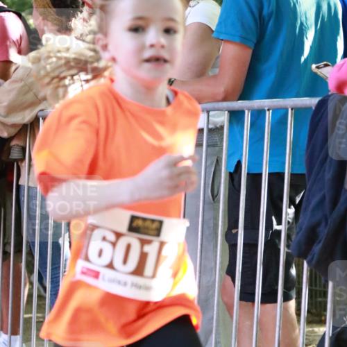 22.09.2024 - 32. Volkslauf durch das schöne Alstertal H.Heesch http://msf.ph/oto/7109829 22.09.2024 10:43:06 Ziel  meine-sportfotos.de