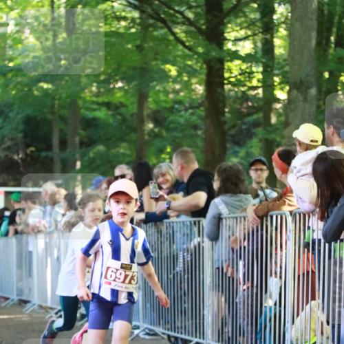 22.09.2024 - 32. Volkslauf durch das schöne Alstertal H.Heesch http://msf.ph/oto/7109831 22.09.2024 10:43:17 Ziel  meine-sportfotos.de