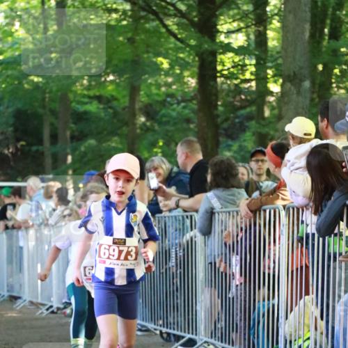 22.09.2024 - 32. Volkslauf durch das schöne Alstertal H.Heesch http://msf.ph/oto/7109834 22.09.2024 10:43:17 Ziel  meine-sportfotos.de