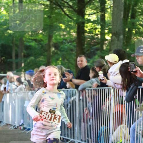22.09.2024 - 32. Volkslauf durch das schöne Alstertal H.Heesch http://msf.ph/oto/7109882 22.09.2024 10:43:30 Ziel  meine-sportfotos.de