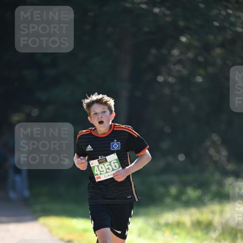 22.09.2024 - 32. Volkslauf durch das schöne Alstertal Dr. Thomas Lammeyer http://msf.ph/oto/7109898 22.09.2024 10:48:00 Laufen 4956 meine-sportfotos.de
