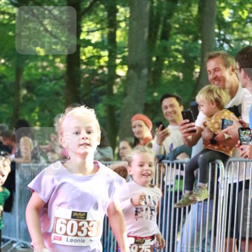 22.09.2024 - 32. Volkslauf durch das schöne Alstertal H.Heesch http://msf.ph/oto/7109918 22.09.2024 10:43:38 Ziel  meine-sportfotos.de