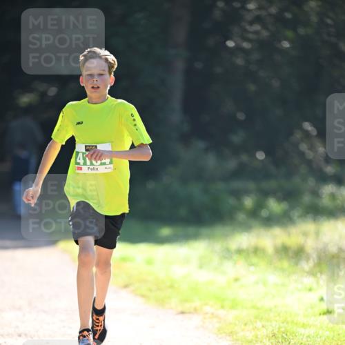 22.09.2024 - 32. Volkslauf durch das schöne Alstertal Dr. Thomas Lammeyer http://msf.ph/oto/7109919 22.09.2024 10:48:15 Laufen 9 meine-sportfotos.de