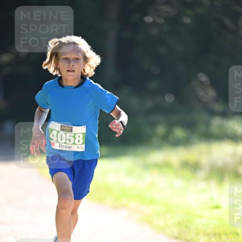 22.09.2024 - 32. Volkslauf durch das schöne Alstertal Dr. Thomas Lammeyer http://msf.ph/oto/7109954 22.09.2024 10:48:22 Laufen 4058 meine-sportfotos.de