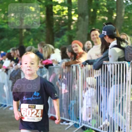 22.09.2024 - 32. Volkslauf durch das schöne Alstertal H.Heesch http://msf.ph/oto/7109989 22.09.2024 10:43:56 Ziel  meine-sportfotos.de