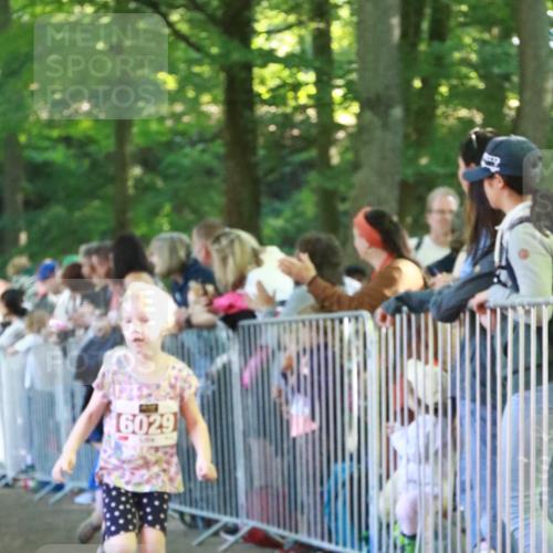 22.09.2024 - 32. Volkslauf durch das schöne Alstertal H.Heesch http://msf.ph/oto/7110008 22.09.2024 10:44:03 Ziel  meine-sportfotos.de