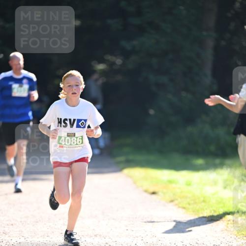 22.09.2024 - 32. Volkslauf durch das schöne Alstertal Dr. Thomas Lammeyer http://msf.ph/oto/7110013 22.09.2024 10:49:11 Laufen 4086 meine-sportfotos.de