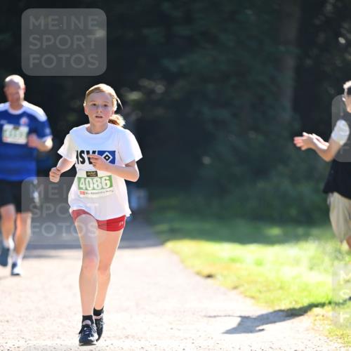 22.09.2024 - 32. Volkslauf durch das schöne Alstertal Dr. Thomas Lammeyer http://msf.ph/oto/7110014 22.09.2024 10:49:11 Laufen 4086 meine-sportfotos.de