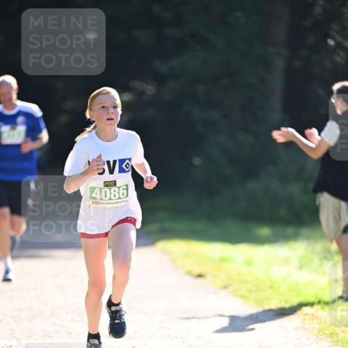 22.09.2024 - 32. Volkslauf durch das schöne Alstertal Dr. Thomas Lammeyer http://msf.ph/oto/7110017 22.09.2024 10:49:11 Laufen 4086 meine-sportfotos.de