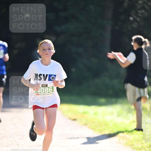 22.09.2024 - 32. Volkslauf durch das schöne Alstertal Dr. Thomas Lammeyer http://msf.ph/oto/7110019 22.09.2024 10:49:11 Laufen 086 meine-sportfotos.de