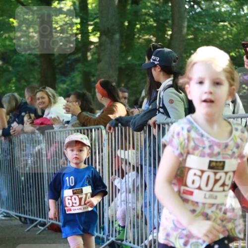 22.09.2024 - 32. Volkslauf durch das schöne Alstertal H.Heesch http://msf.ph/oto/7110020 22.09.2024 10:44:05 Ziel  meine-sportfotos.de