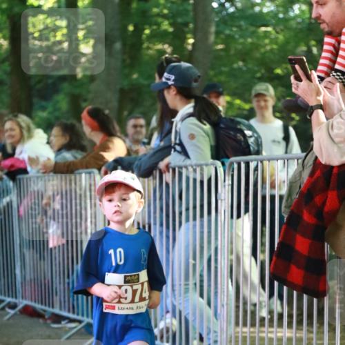 22.09.2024 - 32. Volkslauf durch das schöne Alstertal H.Heesch http://msf.ph/oto/7110026 22.09.2024 10:44:05 Ziel  meine-sportfotos.de