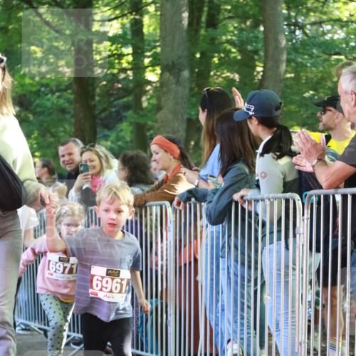 22.09.2024 - 32. Volkslauf durch das schöne Alstertal H.Heesch http://msf.ph/oto/7110104 22.09.2024 10:44:28 Ziel  meine-sportfotos.de