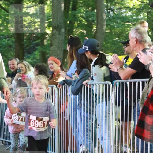22.09.2024 - 32. Volkslauf durch das schöne Alstertal H.Heesch http://msf.ph/oto/7110108 22.09.2024 10:44:29 Ziel  meine-sportfotos.de