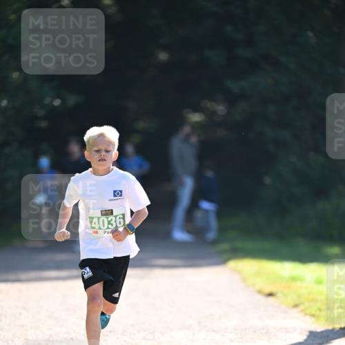 22.09.2024 - 32. Volkslauf durch das schöne Alstertal Dr. Thomas Lammeyer http://msf.ph/oto/7110116 22.09.2024 10:49:28 Laufen 4036 meine-sportfotos.de
