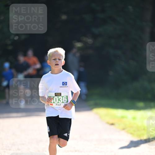 22.09.2024 - 32. Volkslauf durch das schöne Alstertal Dr. Thomas Lammeyer http://msf.ph/oto/7110123 22.09.2024 10:49:29 Laufen 036 meine-sportfotos.de