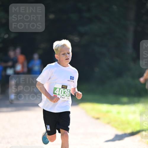 22.09.2024 - 32. Volkslauf durch das schöne Alstertal Dr. Thomas Lammeyer http://msf.ph/oto/7110126 22.09.2024 10:49:29 Laufen 4036 meine-sportfotos.de