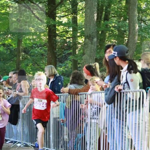 22.09.2024 - 32. Volkslauf durch das schöne Alstertal H.Heesch http://msf.ph/oto/7110201 22.09.2024 10:44:55 Ziel 5034, 5037, 5038 meine-sportfotos.de