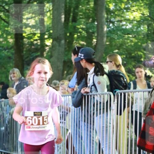 22.09.2024 - 32. Volkslauf durch das schöne Alstertal H.Heesch http://msf.ph/oto/7110226 22.09.2024 10:44:57 Ziel 5034, 5037, 5038 meine-sportfotos.de