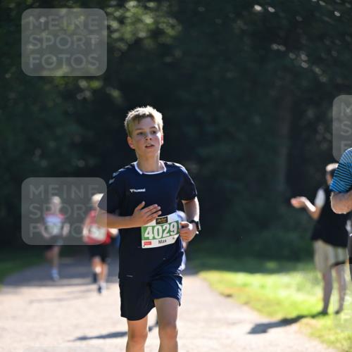 22.09.2024 - 32. Volkslauf durch das schöne Alstertal Dr. Thomas Lammeyer http://msf.ph/oto/7110255 22.09.2024 10:50:16 Laufen 4029 meine-sportfotos.de