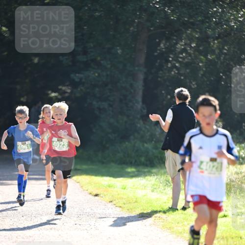 22.09.2024 - 32. Volkslauf durch das schöne Alstertal Dr. Thomas Lammeyer http://msf.ph/oto/7110262 22.09.2024 10:50:18 Laufen 4961, 4023, 4028 meine-sportfotos.de
