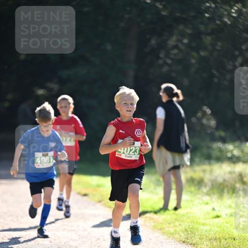 22.09.2024 - 32. Volkslauf durch das schöne Alstertal Dr. Thomas Lammeyer http://msf.ph/oto/7110277 22.09.2024 10:50:20 Laufen 4961, 4023 meine-sportfotos.de