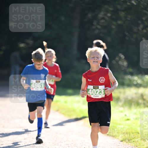 22.09.2024 - 32. Volkslauf durch das schöne Alstertal Dr. Thomas Lammeyer http://msf.ph/oto/7110285 22.09.2024 10:50:21 Laufen 4961, 4023 meine-sportfotos.de