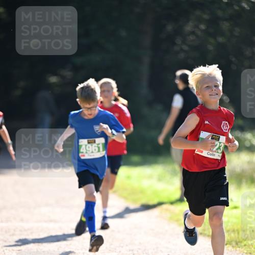 22.09.2024 - 32. Volkslauf durch das schöne Alstertal Dr. Thomas Lammeyer http://msf.ph/oto/7110287 22.09.2024 10:50:21 Laufen 4961, 23 meine-sportfotos.de