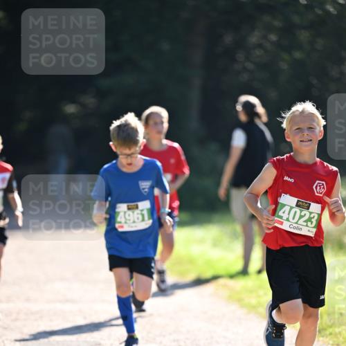 22.09.2024 - 32. Volkslauf durch das schöne Alstertal Dr. Thomas Lammeyer http://msf.ph/oto/7110290 22.09.2024 10:50:21 Laufen 4961, 14023 meine-sportfotos.de