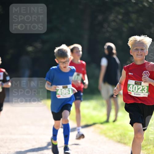 22.09.2024 - 32. Volkslauf durch das schöne Alstertal Dr. Thomas Lammeyer http://msf.ph/oto/7110291 22.09.2024 10:50:21 Laufen 4961, 4023 meine-sportfotos.de
