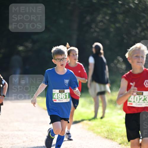 22.09.2024 - 32. Volkslauf durch das schöne Alstertal Dr. Thomas Lammeyer http://msf.ph/oto/7110294 22.09.2024 10:50:21 Laufen 14, 4961, 4023 meine-sportfotos.de