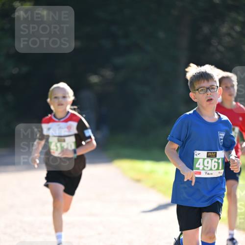 22.09.2024 - 32. Volkslauf durch das schöne Alstertal Dr. Thomas Lammeyer http://msf.ph/oto/7110298 22.09.2024 10:50:22 Laufen 4961 meine-sportfotos.de
