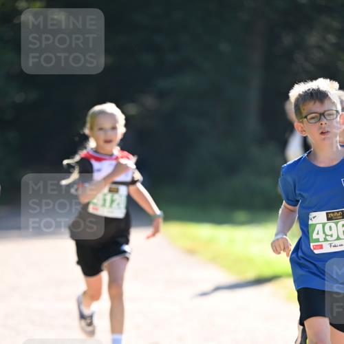 22.09.2024 - 32. Volkslauf durch das schöne Alstertal Dr. Thomas Lammeyer http://msf.ph/oto/7110301 22.09.2024 10:50:22 Laufen 496 meine-sportfotos.de