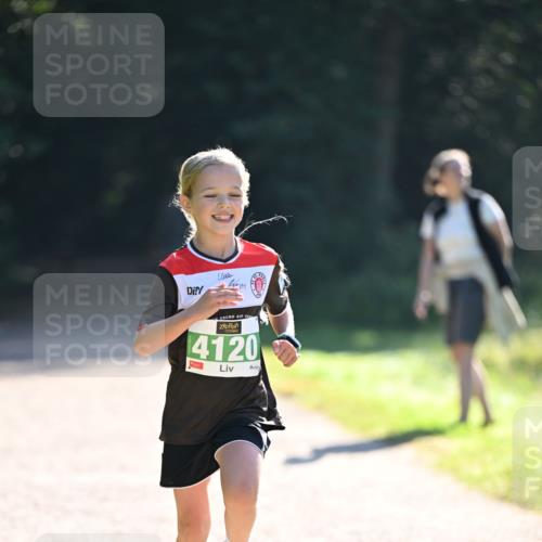 22.09.2024 - 32. Volkslauf durch das schöne Alstertal Dr. Thomas Lammeyer http://msf.ph/oto/7110309 22.09.2024 10:50:23 Laufen 4120 meine-sportfotos.de