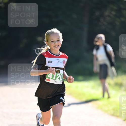 22.09.2024 - 32. Volkslauf durch das schöne Alstertal Dr. Thomas Lammeyer http://msf.ph/oto/7110310 22.09.2024 10:50:23 Laufen 4120 meine-sportfotos.de