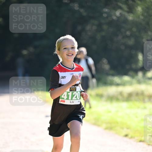 22.09.2024 - 32. Volkslauf durch das schöne Alstertal Dr. Thomas Lammeyer http://msf.ph/oto/7110319 22.09.2024 10:50:23 Laufen 4120 meine-sportfotos.de