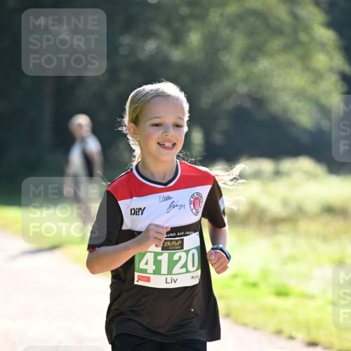 22.09.2024 - 32. Volkslauf durch das schöne Alstertal Dr. Thomas Lammeyer http://msf.ph/oto/7110327 22.09.2024 10:50:24 Laufen 24, 14120 meine-sportfotos.de