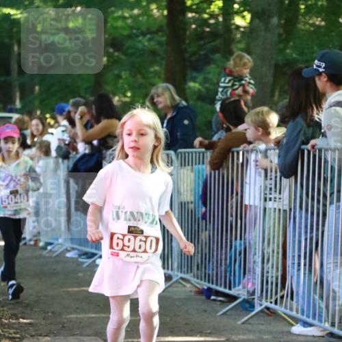 22.09.2024 - 32. Volkslauf durch das schöne Alstertal H.Heesch http://msf.ph/oto/7110356 22.09.2024 10:45:51 Ziel 5007, 5040, 5046 meine-sportfotos.de