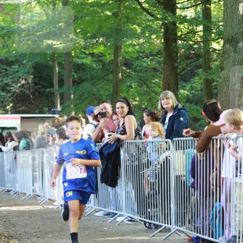 22.09.2024 - 32. Volkslauf durch das schöne Alstertal H.Heesch http://msf.ph/oto/7110381 22.09.2024 10:45:56 Ziel 5007, 5040 meine-sportfotos.de