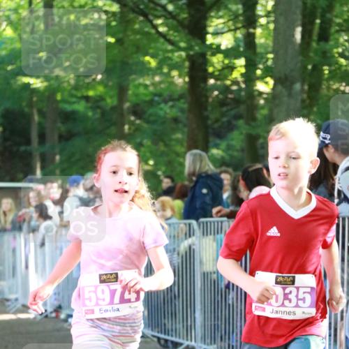 22.09.2024 - 32. Volkslauf durch das schöne Alstertal H.Heesch http://msf.ph/oto/7110426 22.09.2024 10:46:04 Ziel 5035, 5974 meine-sportfotos.de