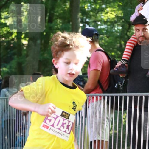 22.09.2024 - 32. Volkslauf durch das schöne Alstertal H.Heesch http://msf.ph/oto/7110450 22.09.2024 10:46:21 Ziel 5033 meine-sportfotos.de