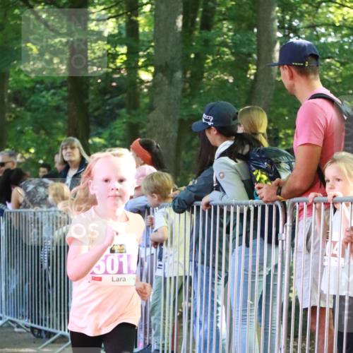 22.09.2024 - 32. Volkslauf durch das schöne Alstertal H.Heesch http://msf.ph/oto/7110498 22.09.2024 10:46:37 Ziel 5006, 5014, 5015, 5970 meine-sportfotos.de