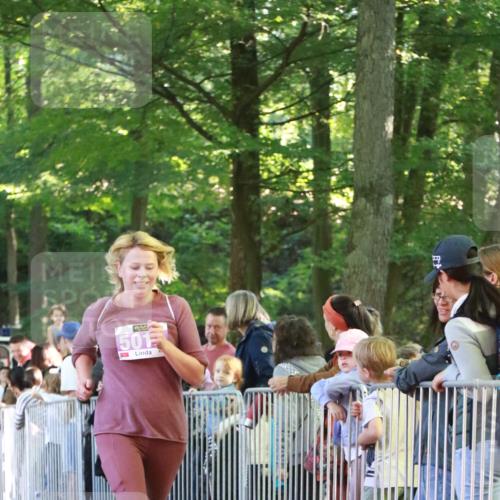 22.09.2024 - 32. Volkslauf durch das schöne Alstertal H.Heesch http://msf.ph/oto/7110506 22.09.2024 10:46:41 Ziel 5006, 5014, 5015, 5970 meine-sportfotos.de